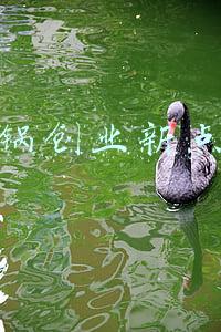 火锅创业新点子