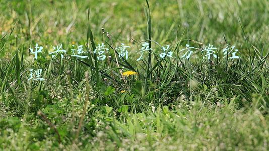 中兴产品经理是做什么(看完中兴新机发布会后，网友调侃：中兴发布了一个产品经理)