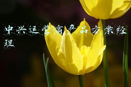 中兴运营商产品方案经理