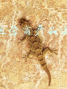 中兴路运营平台(淮南市中兴路全线通车运营)