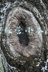如何经营小红书账号(小红书运营经验总结（建议收藏）)