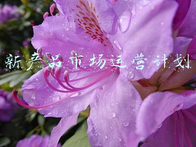 产品市场营销计划(产品月度营销计划方案、产品年度营销计划书、市场营销计划方案)