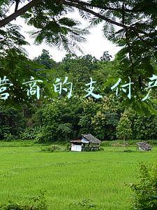 运营商的支付产品