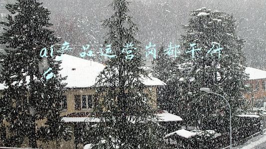 ai岗位主要做什么(造AI金融工具如烹小鲜：解密AI工程师的日常)