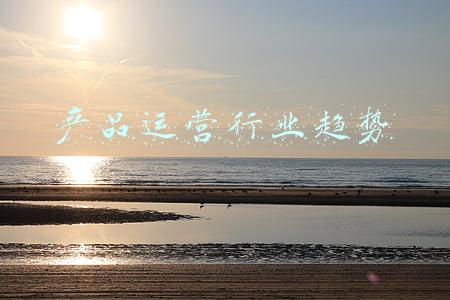 产品运营属于什么行业(商业中业务和数据的关系)