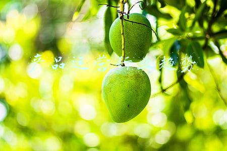 互联网行业产品运营(互联网产品运营体系总结之产品运营)