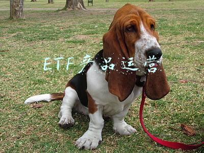 ETF产品运营
