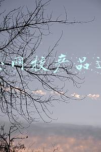 学而思网校城市运营(学而思广州15个一对一授课点关停“双减”之后转线上)