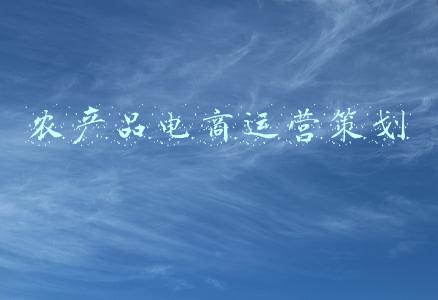 农产品电商运营策划