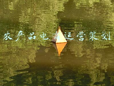 农产品电商运营策划