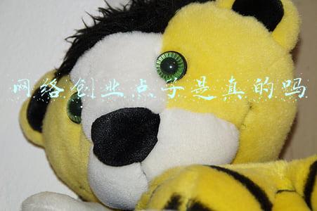 农村创业点子(五个快速致富项目，农村人想发家的过来学，很真实)