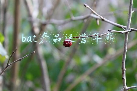BAT的盈利模式(BAT这类互联网巨头到底靠什么赚钱？)