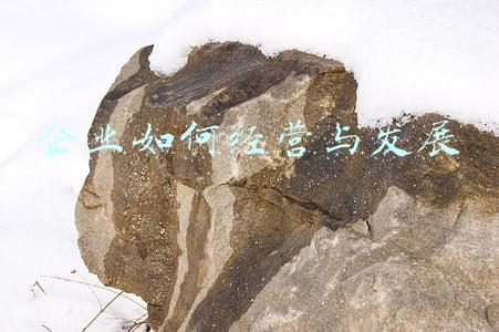 企业的经营与发展教案(企业的经营与发展)