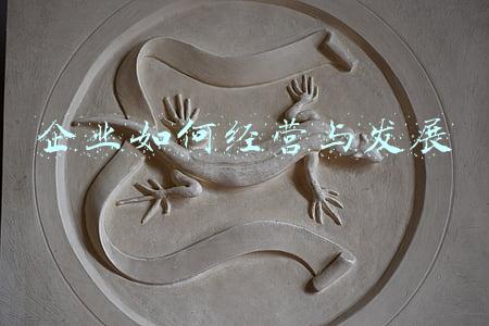 企业的经营与发展ppt公开课-企业的经营与发展ppt