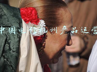 中国电信杭州产品运营