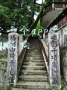 运营一个app产品的组织架构