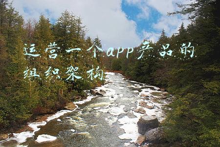 运营一个app产品的组织架构