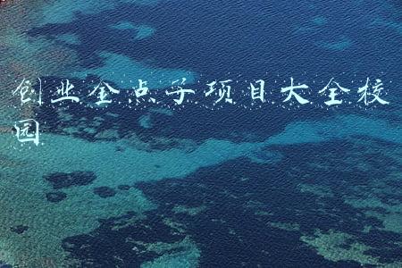 大学校园创业项目点子(大学生校园创业项目)