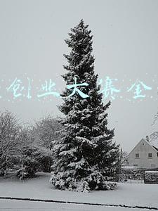 公益创业大赛金点子