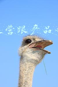 和电商平台合作需要注意些什么(新手电商淘宝卖家在和达人合作直播带货，需要做好这些准备工作)