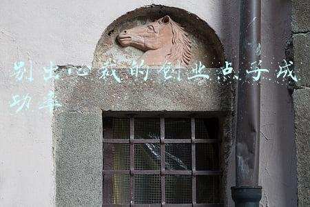 创业点子致富(农村如何致富？农村致富金点子)