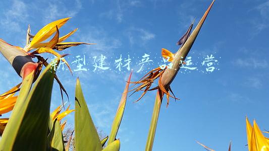 新型环保建材产品(新型绿色环保建材有哪几种？)