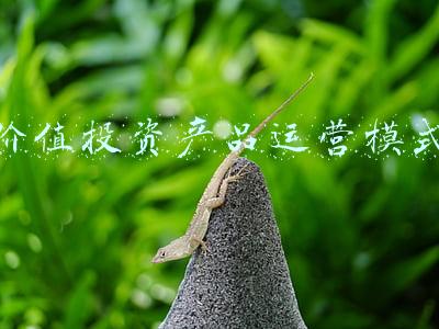 价值投资产品运营模式