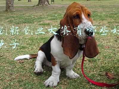 创新创意好点子(两岸青年共谋创意“金点子”体现责任与担当)