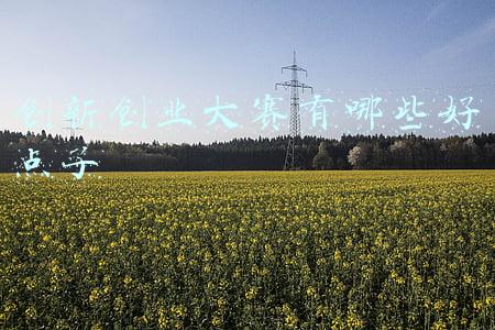 酒店创新服务的好点子(酒店个性化服务怎么做，才能赢得客户芳心)