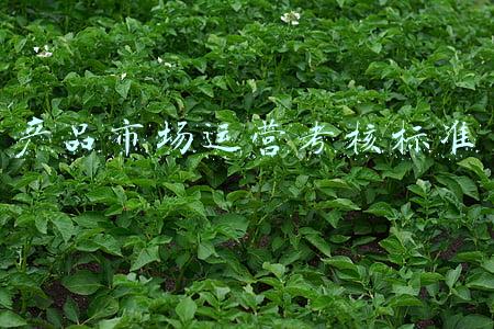 产品市场运营考核标准