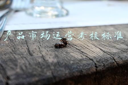 产品市场运营考核标准