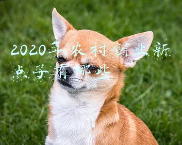 2020年农村创业发展方向(农村创业新机遇，未来这3个行业会成为香饽饽，大家要早做准备)