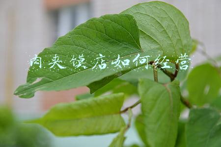 肉夹馍店如何经营