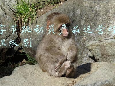 字节跳动的产品经理 待遇(这格局可以！字节跳动给离职员工发春节红包 最多可获6888元)