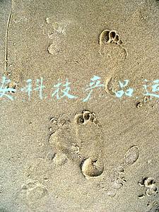 平安科技产品运营