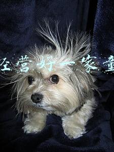 如何经营好一个童装店-如何经营好一家童装店小童