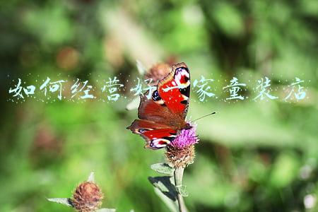 如何经营好一家民宿；如何经营好一家民宿?