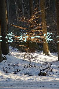 如何经营好一家图文店《开个图文店前景如何》