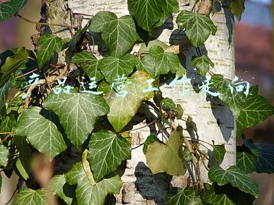 产品运营工作走向