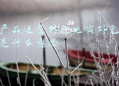 电商产品运营流程图(2张图教会你电商运营基本流程)