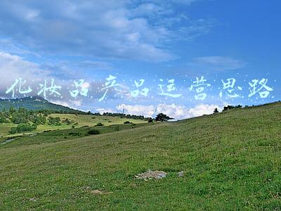 化妆品产品运营思路