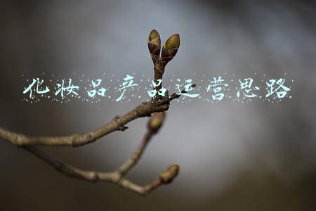 化妆品产品年度报告(化妆品产业报告：众多“美谷”、“国潮”涌现，广州373家代工厂数量全国第一)