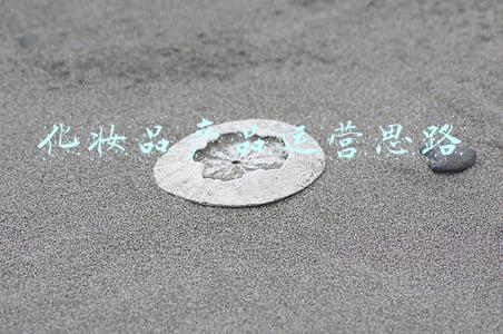 化妆品产品介绍ppt(2018化妆品行业简约时尚PPT模板)