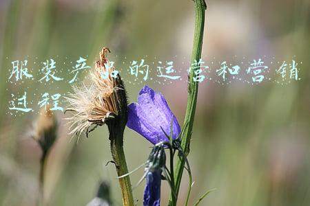 服装产品的运营和营销过程