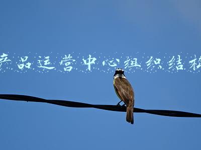 产品运营中心组织结构