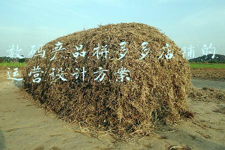 数码产品店铺logo(历时三年，花了200 万，小米换的新标值这个价吗？)