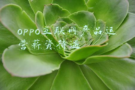oppo互联网产品运营薪资待遇