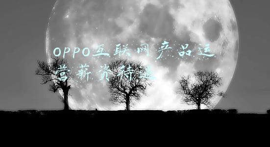 oppo互联网产品运营薪资待遇