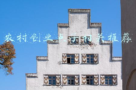 农村创业新点子(分享五个农村创业好点子，想赚钱的过来学，很真实、有用)