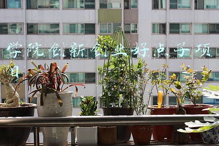 学院创新创业好点子项目